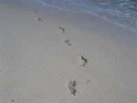 barbados 009